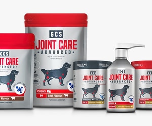 Keep Your Dog Moving with GCS Joint Care Advanced