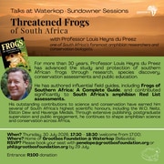 Join Grootbos Foundation's Frog Sundowner Session