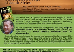 Join Grootbos Foundation's Frog Sundowner Session