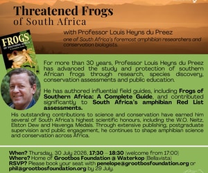 Join Grootbos Foundation's Frog Sundowner Session