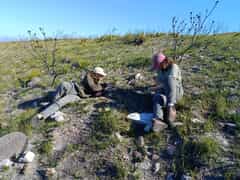 Pollinator Research at Grootbos Nature Reserve