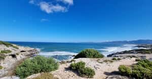Marine Protected Area Day: Gansbaai Beach Cleanup
