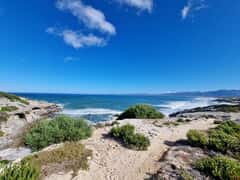Marine Protected Area Day: Gansbaai Beach Cleanup