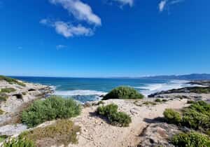 Marine Protected Area Day: Gansbaai Beach Cleanup