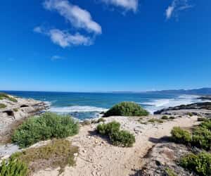 Marine Protected Area Day: Gansbaai Beach Cleanup