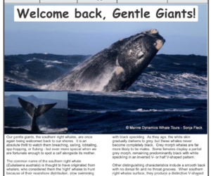 New Edition of Gans-Berg Nuus / News - 31 July 2026