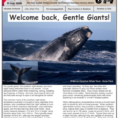 New Edition of Gans-Berg Nuus / News - 31 July 2026