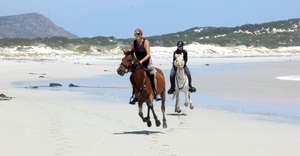Guests Enjoying the Beautiful Weather with Pearly Beach Horse Trails