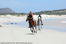 Guests Enjoying the Beautiful Weather with Pearly Beach Horse Trails