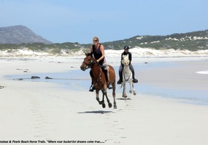 Guests Enjoying the Beautiful Weather with Pearly Beach Horse Trails