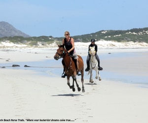 Guests Enjoying the Beautiful Weather with Pearly Beach Horse Trails