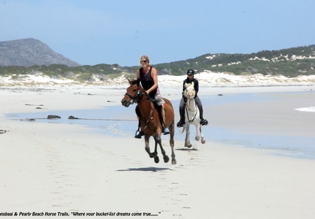 Guests Enjoying the Beautiful Weather with Pearly Beach Horse Trails
