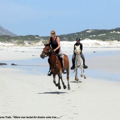 Guests Enjoying the Beautiful Weather with Pearly Beach Horse Trails