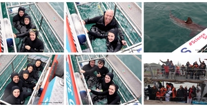 Daily Blog: 04 August 2026 | Shark Cage Diving in South Africa