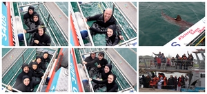 Daily Blog: 04 August 2026 | Shark Cage Diving in South Africa