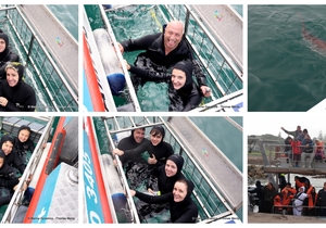 Daily Blog: 04 August 2026 | Shark Cage Diving in South Africa
