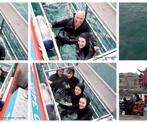 Daily Blog: 04 August 2026 | Shark Cage Diving in South Africa