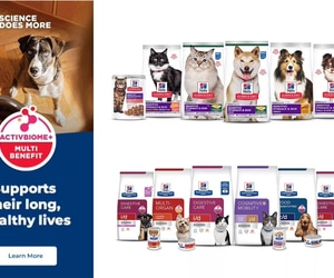 Support Your Pet's Digestive Health with Hill's ActivBiome+