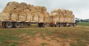 Building Sand and Hay Bale Deliveries