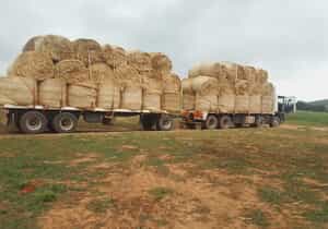 Building Sand and Hay Bale Deliveries