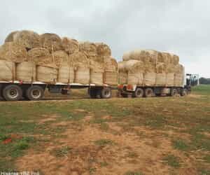 Building Sand and Hay Bale Deliveries
