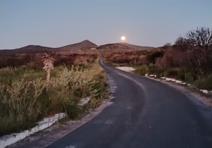 Full Moon Over Grootbos