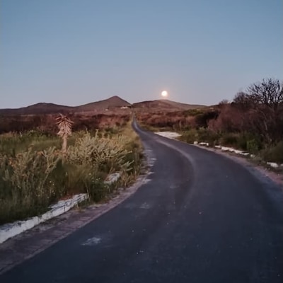 Full Moon Over Grootbos