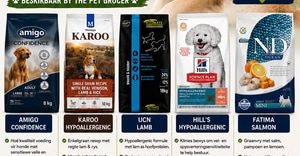 Dog Food for Itchy and Sensitive Skin