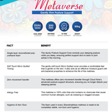 SM_Metaverse_FAB_Sheet_1__1786090666