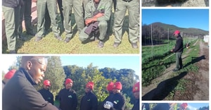 Grootbos Foundation Youth Skills and Workplace Training