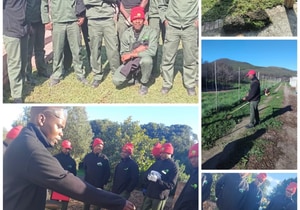 Grootbos Foundation Youth Skills and Workplace Training