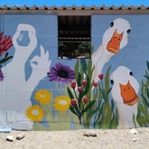Mural - Gorgeous Gansbaai ARTS Project - Xplorio™ Gansbaai