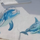 Mural - Gorgeous Gansbaai ARTS Project - Xplorio™ Gansbaai