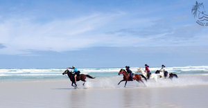 Ex-Jockey Enjoys a Memorable Ride at Pearly Beach Horse Trails