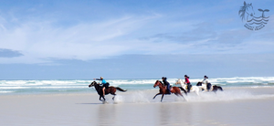 Ex-Jockey Enjoys a Memorable Ride at Pearly Beach Horse Trails