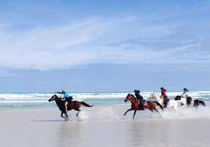 Ex-Jockey Enjoys a Memorable Ride at Pearly Beach Horse Trails