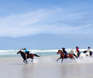 Ex-Jockey Enjoys a Memorable Ride at Pearly Beach Horse Trails