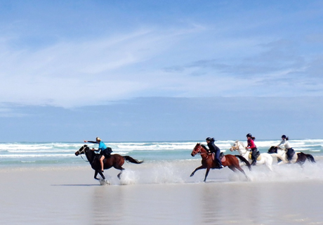 Ex-Jockey Enjoys a Memorable Ride at Pearly Beach Horse Trails