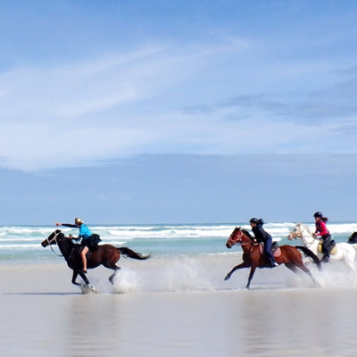 Ex-Jockey Enjoys a Memorable Ride at Pearly Beach Horse Trails