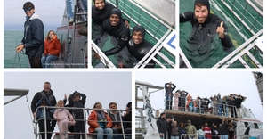 Daily Blog: 08 August 2026 | Shark Cage Diving in South Africa