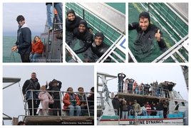 Daily Blog: 08 August 2026 | Shark Cage Diving in South Africa