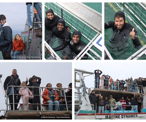 Daily Blog: 08 August 2026 | Shark Cage Diving in South Africa