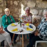 Residents at Coffee Company - Herberg aan See - Xplorio™ Gansbaai