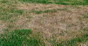 Prepare Your Irrigation for a Dry Spring