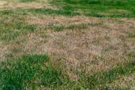 Prepare Your Irrigation for a Dry Spring