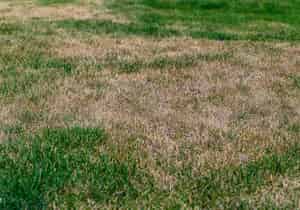 Prepare Your Irrigation for a Dry Spring