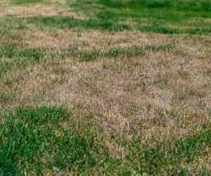 Prepare Your Irrigation for a Dry Spring