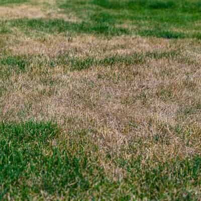Prepare Your Irrigation for a Dry Spring