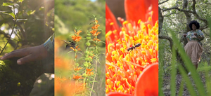 A Poem Inspired by Walker Bay: Siphokazi Jonas’ Fynbos Story