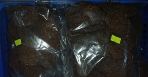 New Ostrich Treats for Your Furry Friends!
